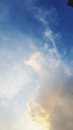 Low angle view of birds flying in sky