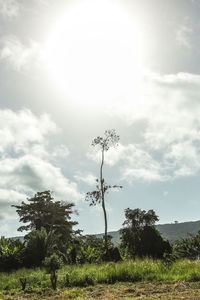 Scenic view of field against cloudy sky