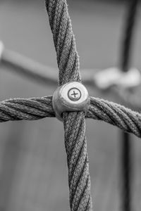 Close-up of rope tied to pole