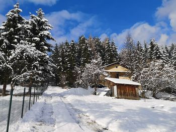 Snow covered plants and trees by building against sky