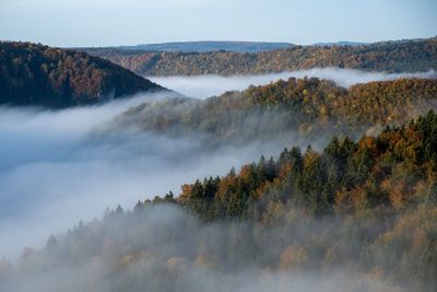 Trees on mountain against sky