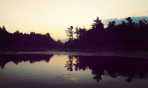 Reflection of trees in calm lake