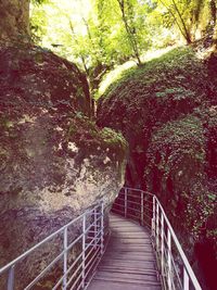 Footbridge in forest