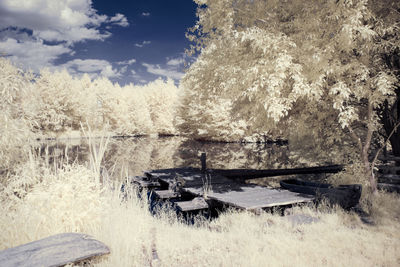 View of trees on snow covered field against sky