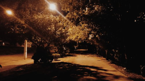 Illuminated street amidst trees at night