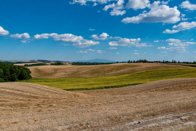 Scenic view of agricultural field against sky