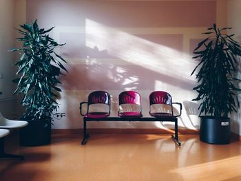 Potted plants in room