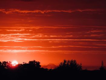 Silhouette trees against sky during sunset