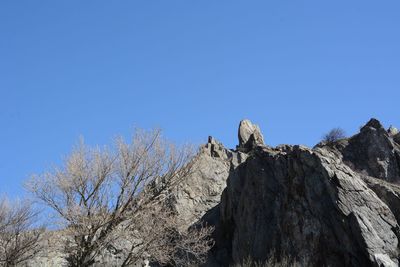 Low angle view of bird on rock against clear blue sky