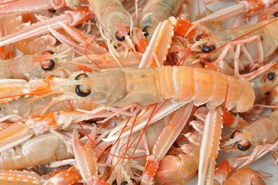 Full frame shot of prawns in market