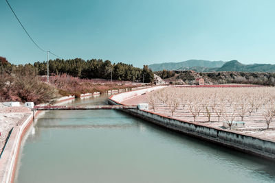 Canal across a fruit plantation