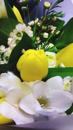 Close-up of white flowers