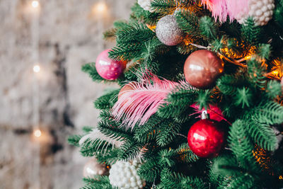 Close-up of christmas tree