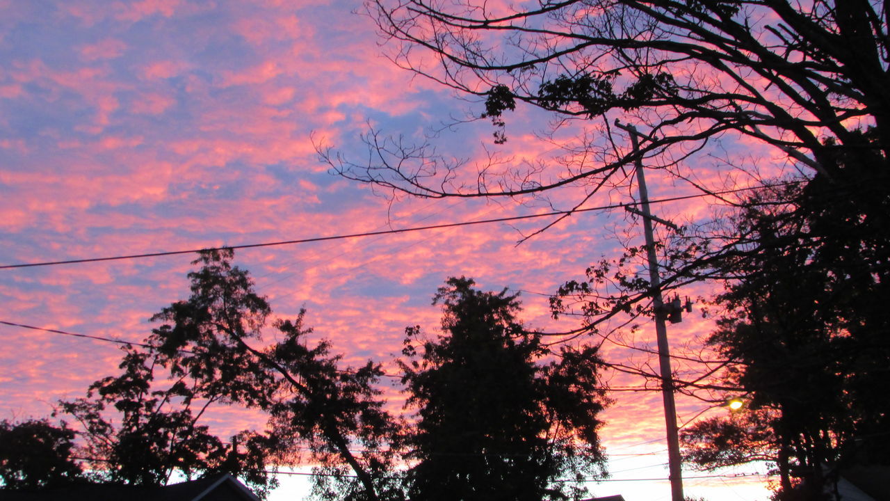 tree, silhouette, sunset, sky, cloud - sky, low angle view, beauty in nature, tranquility, scenics, nature, bare tree, tranquil scene, cloud, cloudy, growth, orange color, outdoors, idyllic, no people, tree trunk, dramatic sky, outline, overcast, majestic, non-urban scene, weather, dark