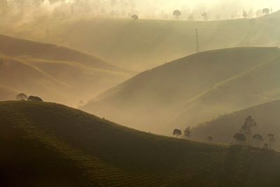 Scenic view of terraced field in foggy weather