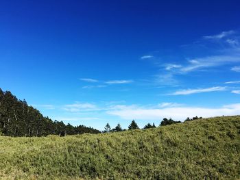 Scenic view of field against blue sky