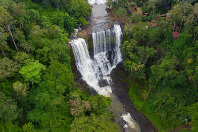 High angle view of waterfall in forest