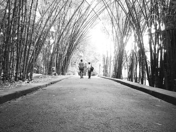 Road passing through trees