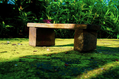 Close-up of stone structure in park