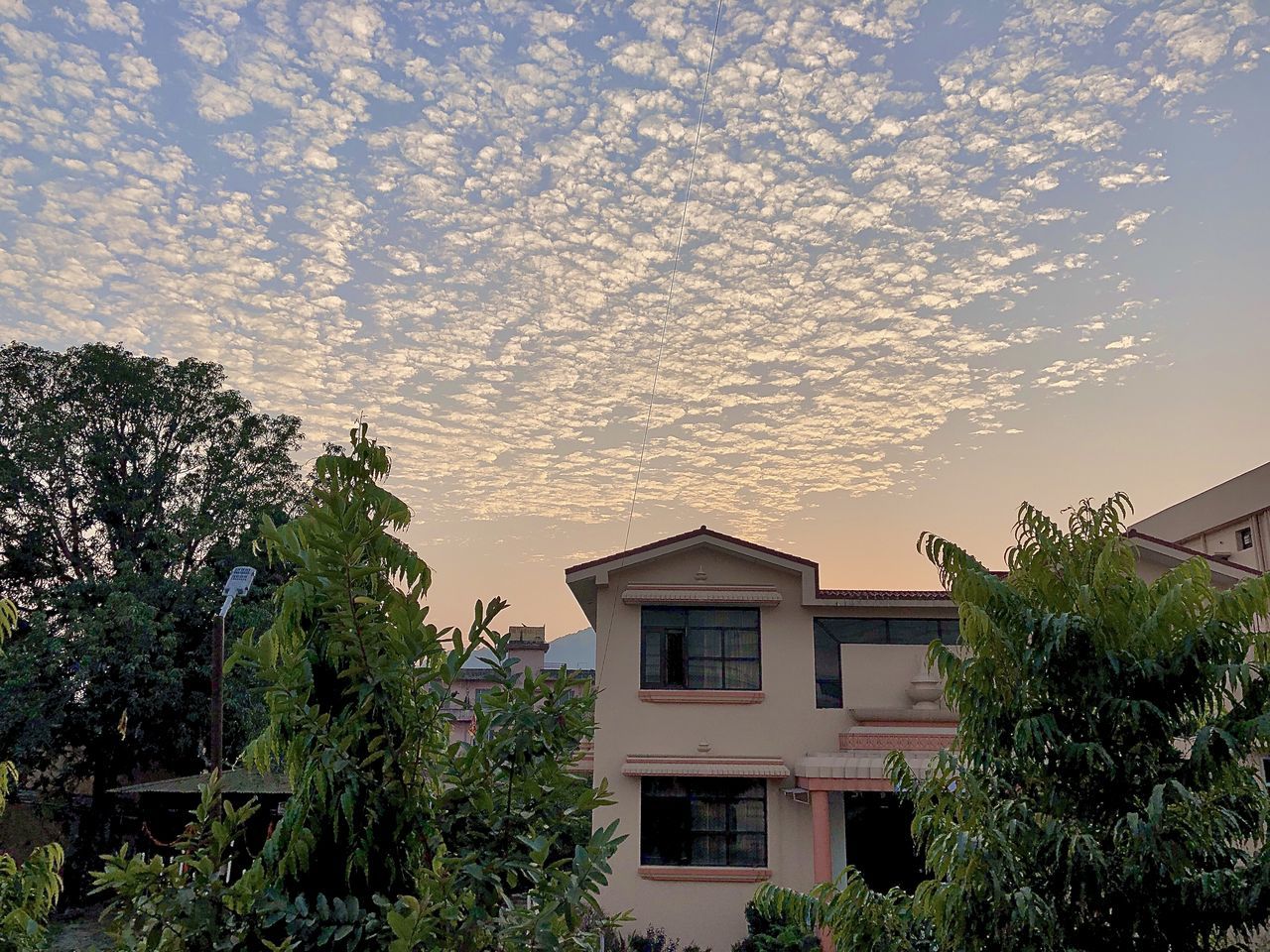 LOW ANGLE VIEW OF TREES AND HOUSE AGAINST SKY