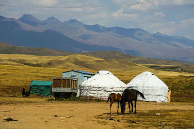 Horse cart on land against mountain range