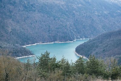 High angle view of sea and trees