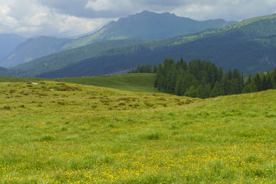 Scenic view of field against mountains