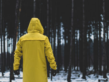 Rear view of person in forest during winter