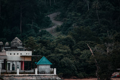 Houses by trees in forest
