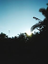 Low angle view of silhouette trees against clear sky