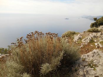 High angle view of sea against sky