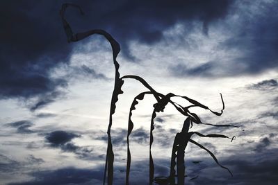 Low angle view of bare tree against storm clouds