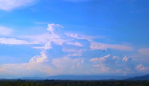 Birds flying over landscape against sky