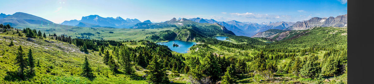 Panoramic view of pine trees and mountains against sky