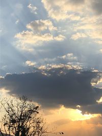 Low angle view of silhouette trees against sky at sunset