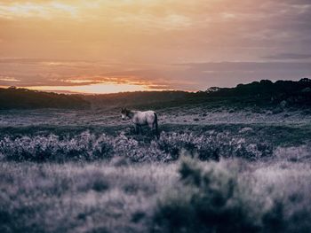 Scenic view of landscape against cloudy sky