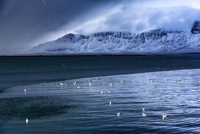 Ducks in river against snowcapped mountains and cloudy sky during rainy season