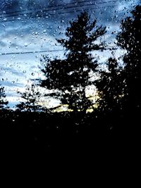 Silhouette trees against sky seen through wet glass window