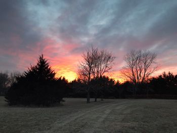 Silhouette trees against sky during sunset