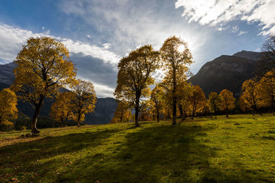 Trees on landscape against sky during autumn