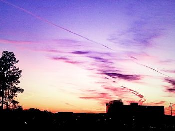 Silhouette of trees at sunset