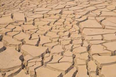 Global warming, died and cracked soil in arid season