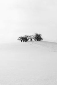 Bare tree on snow covered landscape