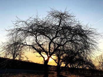 Low angle view of silhouette bare trees against sky during sunset