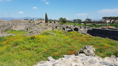 View of old ruin building against sky