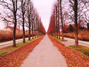 Road amidst trees against sky during autumn