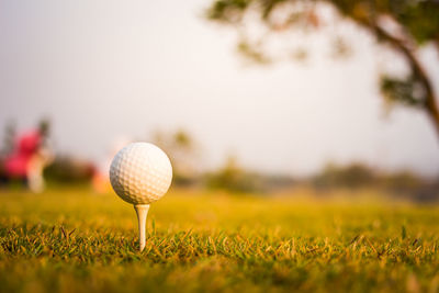 Close-up of ball on field