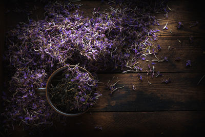 High angle view of purple flowering plants on table