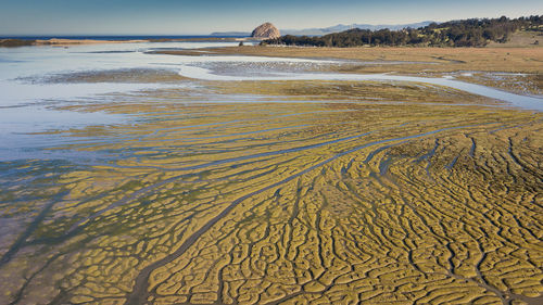 Scenic view of sandy beach