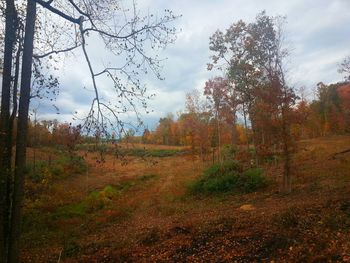 Scenic view of landscape against cloudy sky